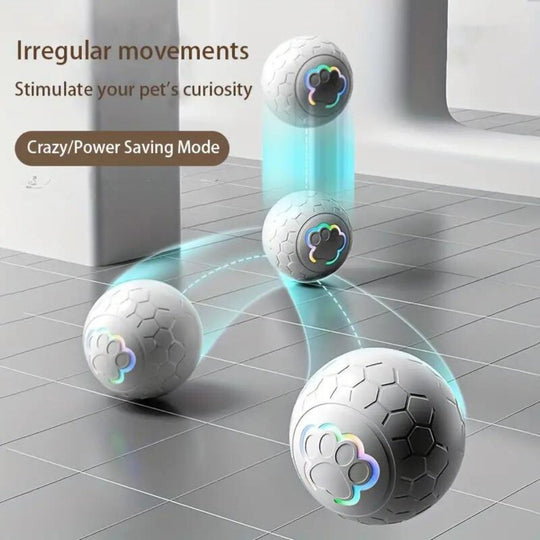 Balle Interactive Chien Durable pour Jeux Intérieurs et Extérieurs 2