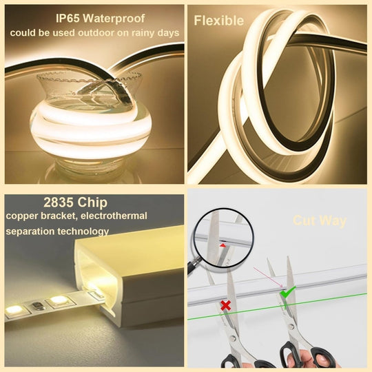 Bande LED Flexible Intérieure et Extérieure 5m 10m Éclairage Ambiance 2