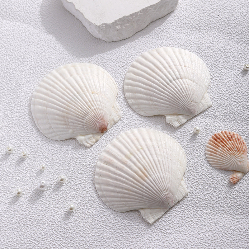 Bougie Parfumée Artisanale Forme Coquillage Femme 3