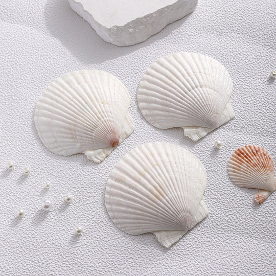 Bougie Parfumée Artisanale Forme Coquillage Femme 3