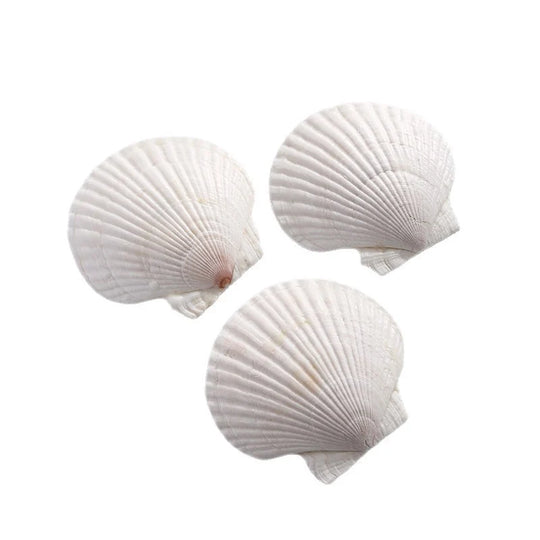 Bougie Parfumée Artisanale Forme Coquillage Femme 4