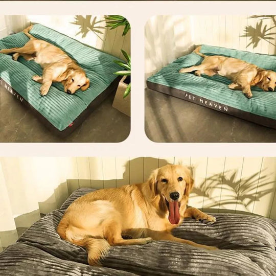 Coussin Pour Chien Amovible Avec Bords Surélevés Antidérapant 2