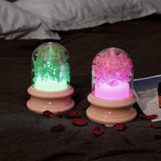 Diffuseur d'arômes multifonction avec éclairage LED pour intérieur 3