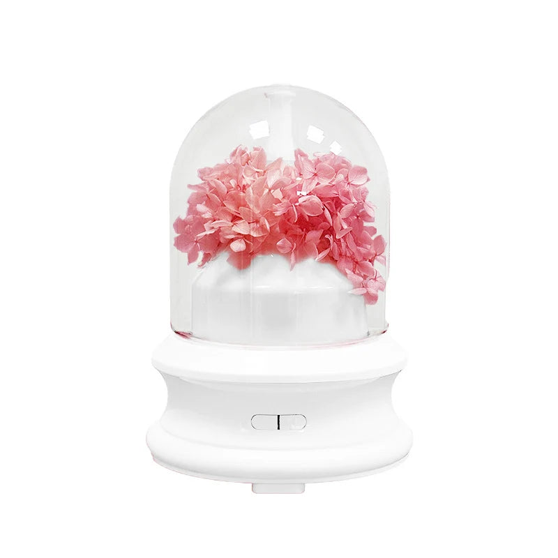 Diffuseur d'arômes multifonction avec éclairage LED pour intérieur 5