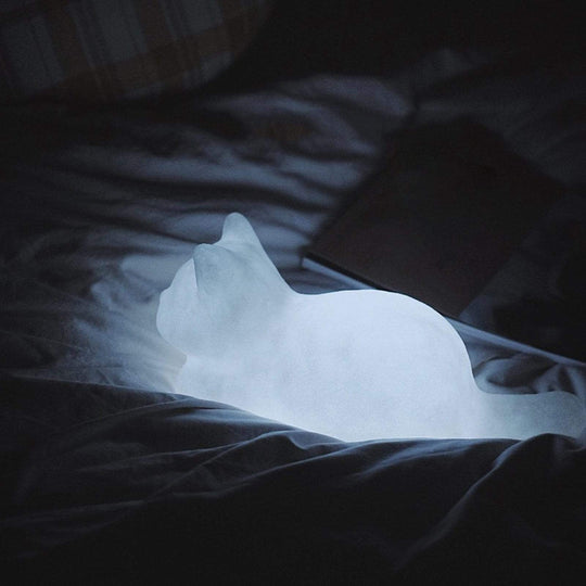 Lampe Veilleuse Chat Rêveur 4