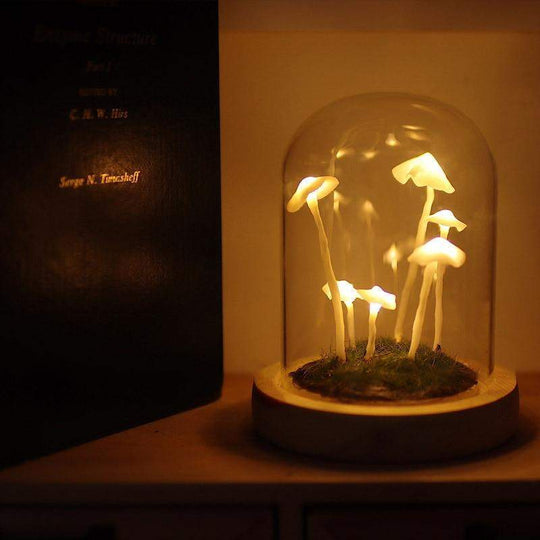 Lampe à Champignons Bricolage Enchantée 1