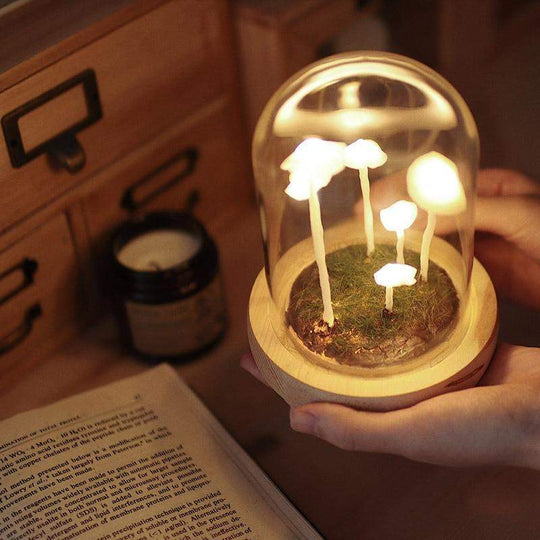 Lampe à Champignons Bricolage Enchantée 3