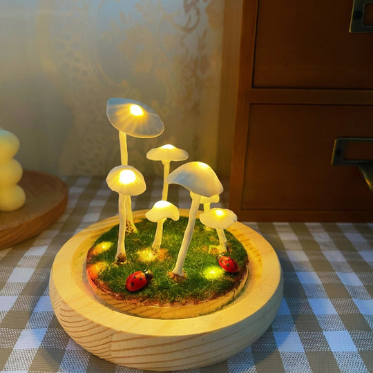 Lampe à Champignons Bricolage Enchantée 5