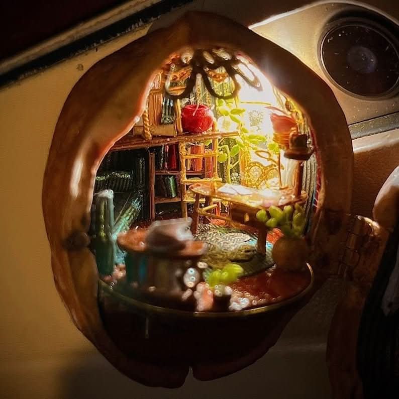 Maison de Poupée Miniature Éclairée en Coquille de Noix 7