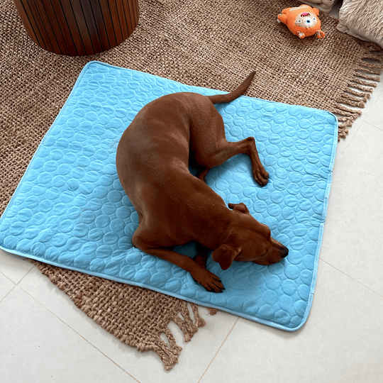Tapis Rafraîchissant pour Chiens Confortable 0