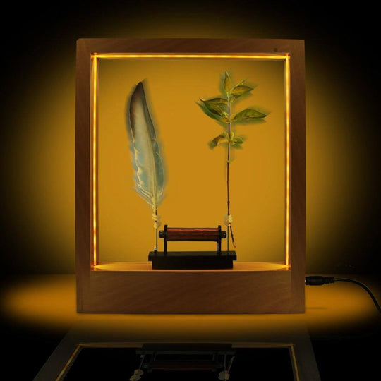 Veilleuse LED à Plumes avec Effet de Mouvement 2