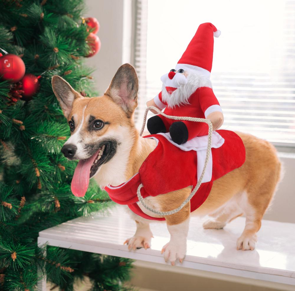 Vêtement Pour Chien De Noël Festif Confortable 4