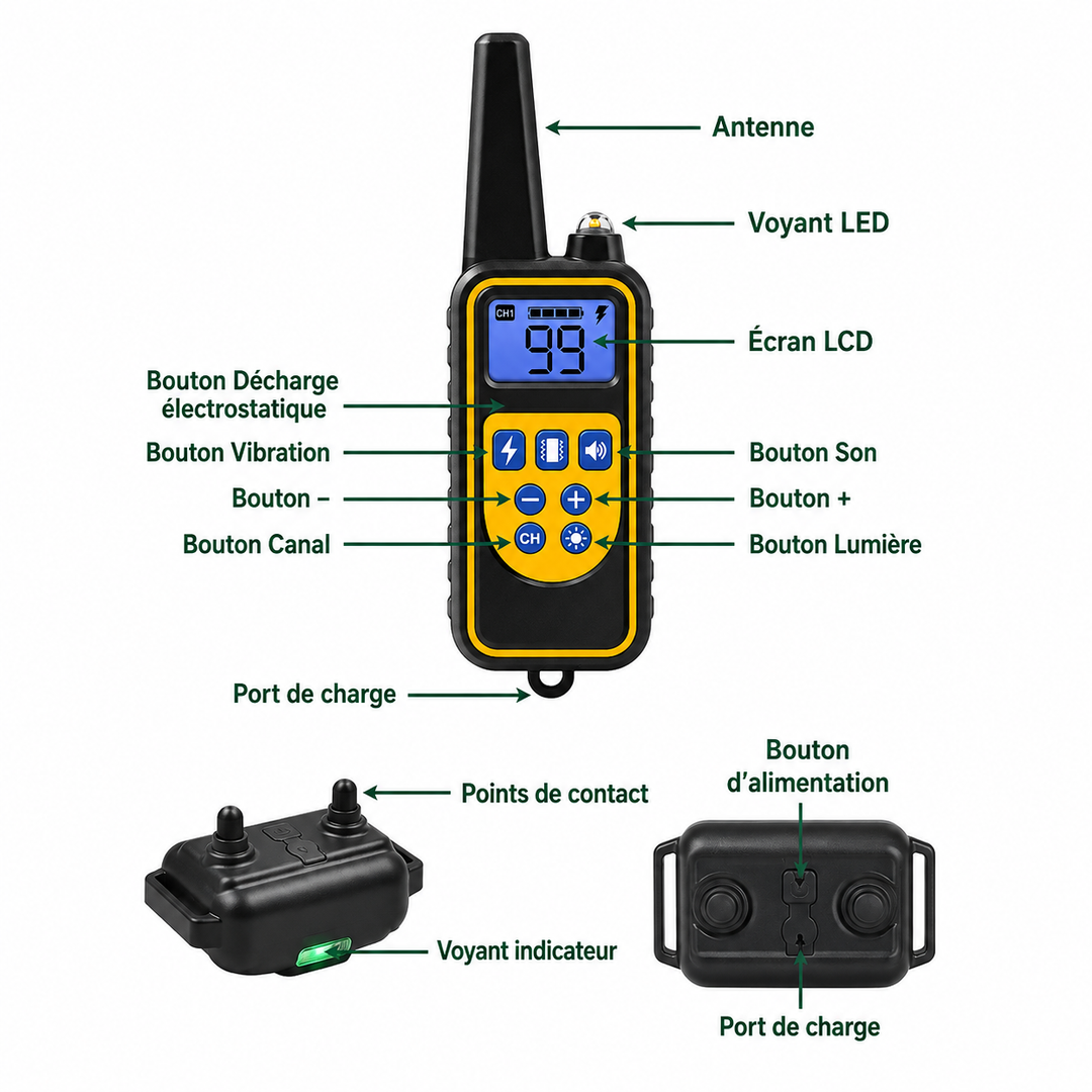 Collier Électrique de Dressage pour Chien avec Télécommande Étanche
