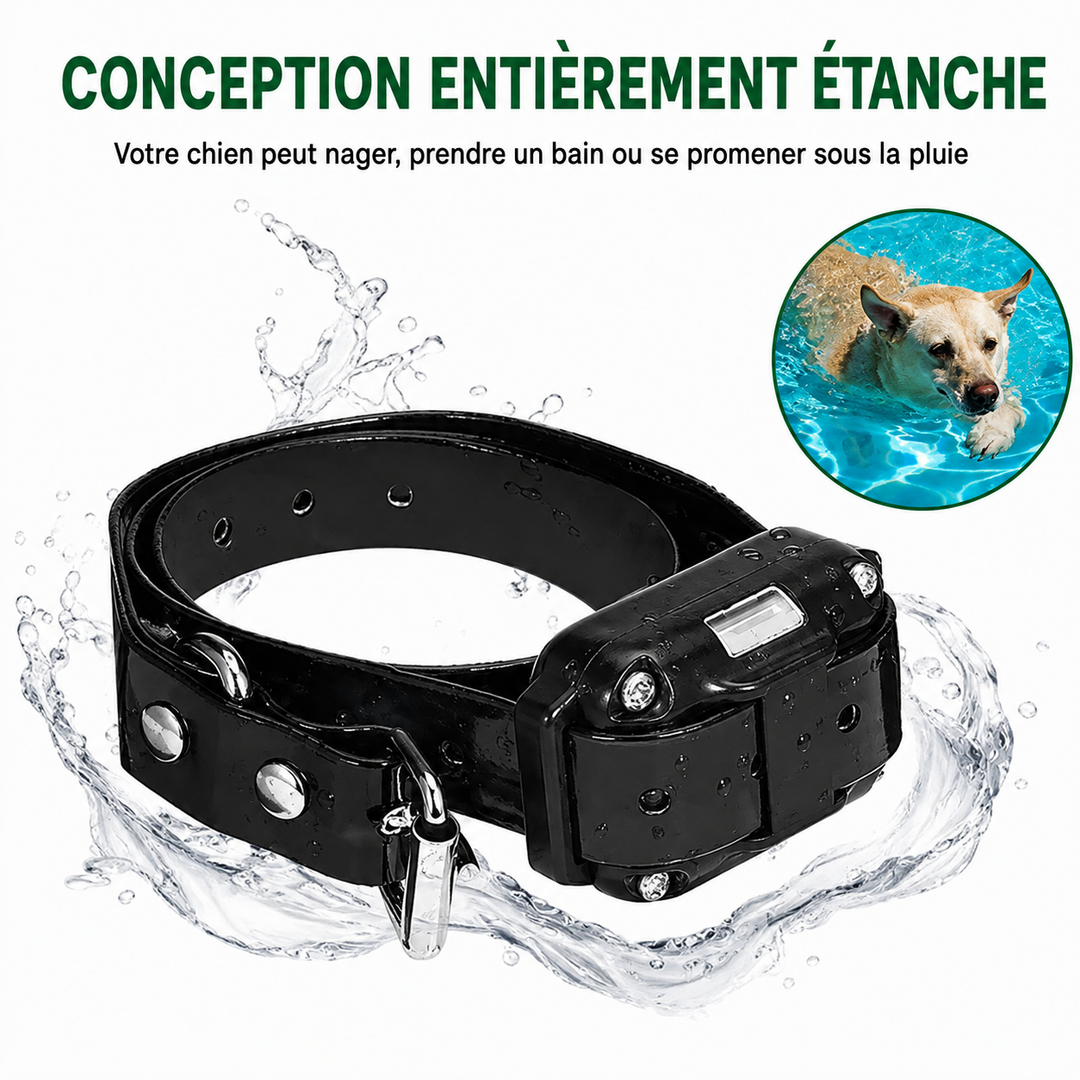 Collier Électrique de Dressage pour Chien avec Télécommande Étanche