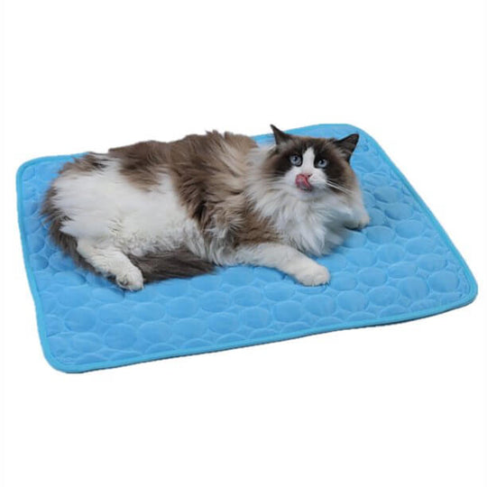 Tapis de refroidissement pour animaux