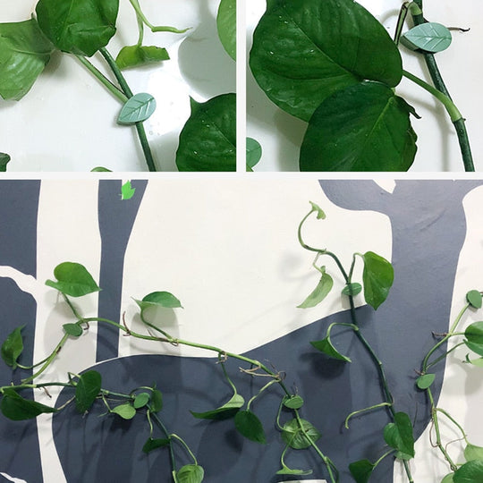Clip de fixation de l'artefact de la plante grimpante