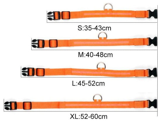 Collier LED