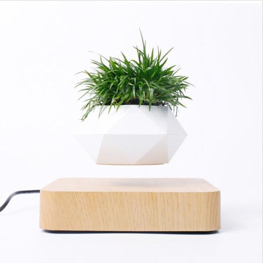 Pot à Bonsaï à air lévitant