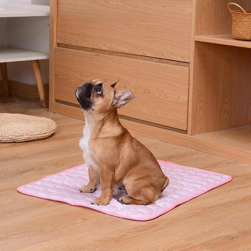 Tapis de refroidissement pour animaux