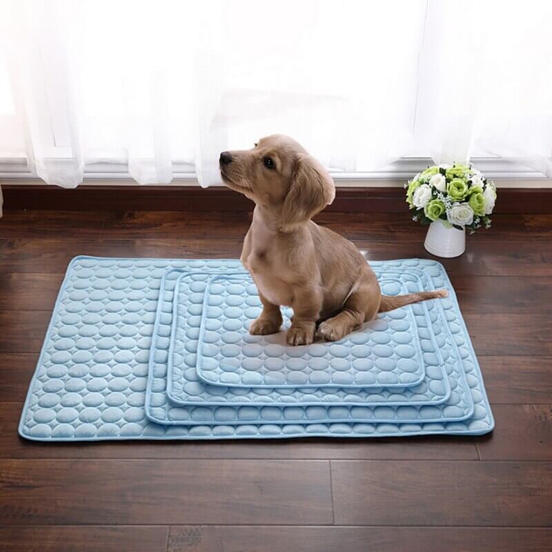 Tapis de refroidissement pour animaux