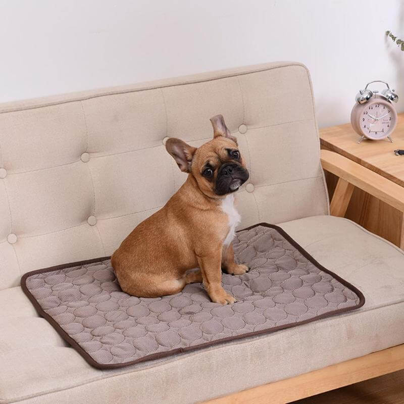 Tapis de refroidissement pour animaux