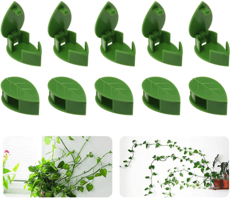 Clip de fixation de l'artefact de la plante grimpante