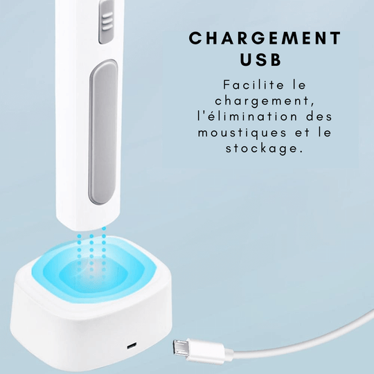 Lampe électrique anti-moustiques 2 en 1
